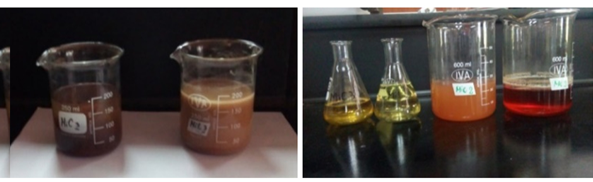 Figuras 3 a y b: a)Extractos acuosos de corteza externa e interna ;b) Extractos hexánicos y etanólicos de corteza externa e interna de M.indica.
