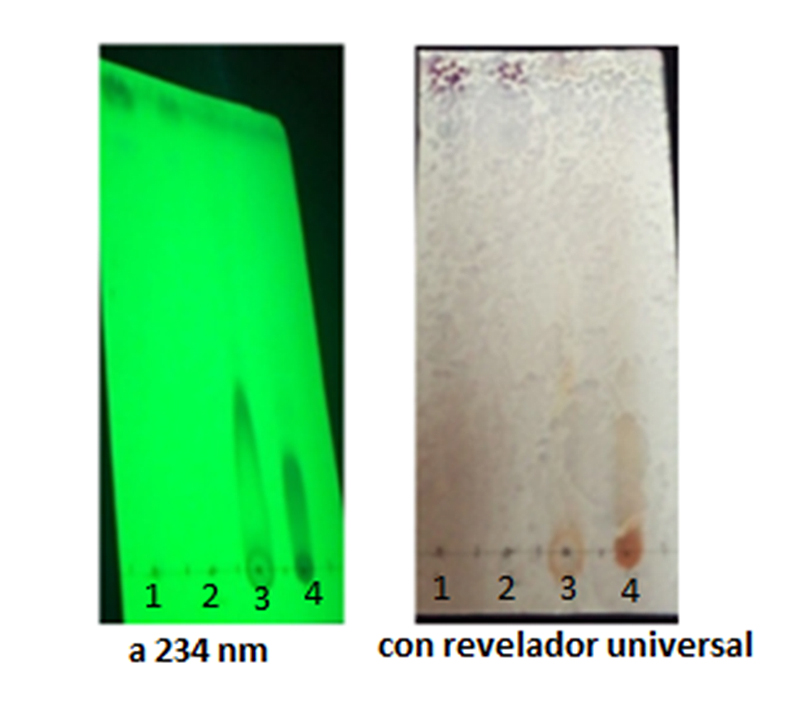 Figura 9: Estudio cromatográfico en placa fina de EACE (3) EACI (4) observadas a dos longitudes de onda con UV.
