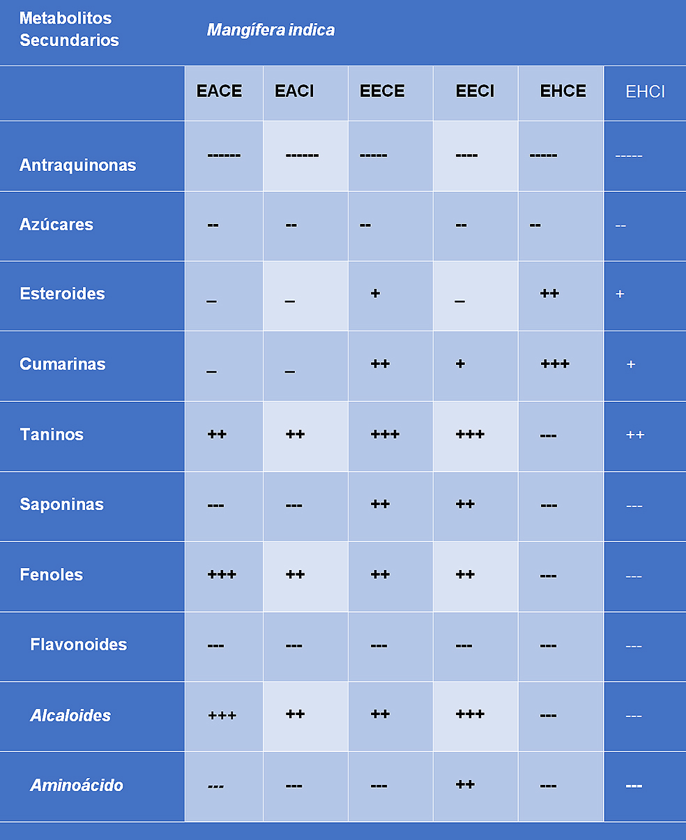 Tabla 1: Resultados de la marcha fitoquímica para los extractos de M. indica. EACE: Extractos acuosos de corteza externa, EACI: Extractos acuosos de corteza interna, EECE: Extractos etanólicos de corteza externa, EECI: Extractos etanólicos de corteza interna, EHCE: Extractos hexánico de corteza externa, EHCI: Extractos hexánico de corteza interna