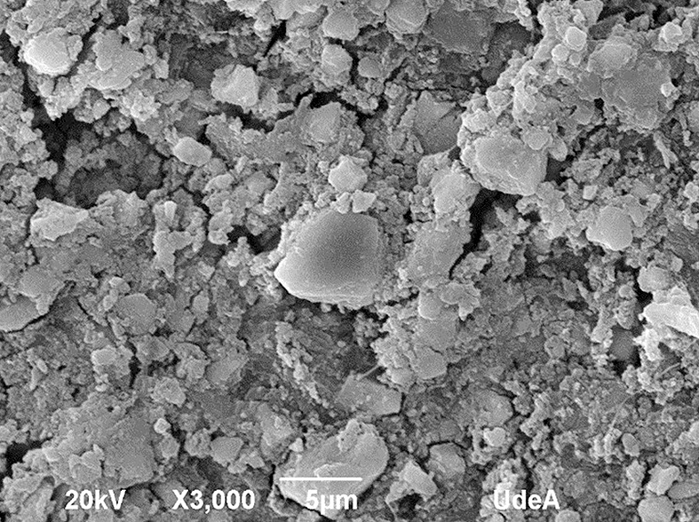 Figura 10. Microfotografía tomada con microscopio electrónico de barrido del ionómero de vidrio extraído de la cortical bucal.